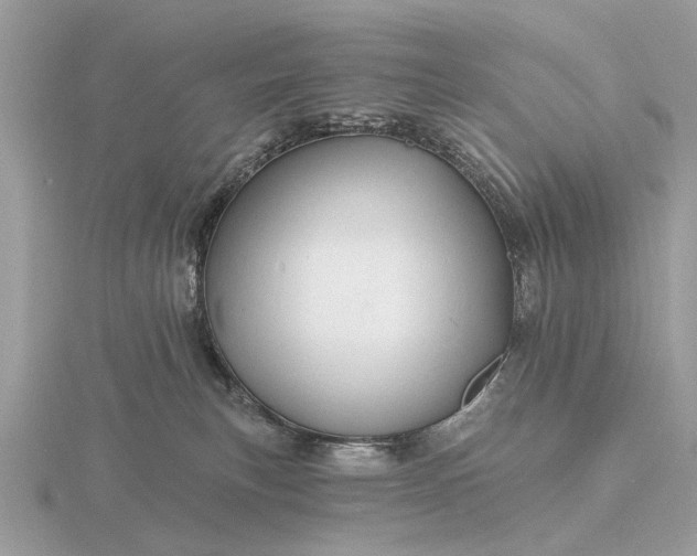 X0000116280183200912141356