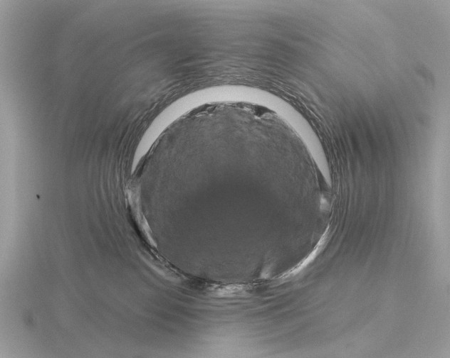 X0000116280186200912141356