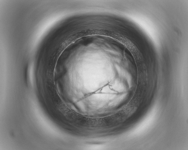 X0000116280189200912141356