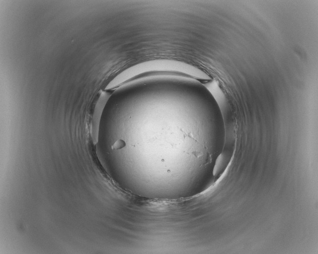 X0000116280190200912141356