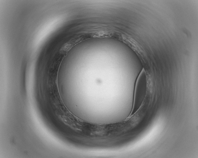 X0000116280191200912141356