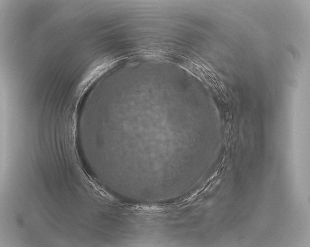 X0000116280194200912141356