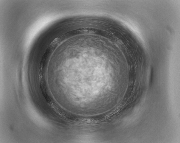 X0000116280195200912141355