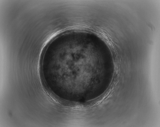 X0000116280196200912141355