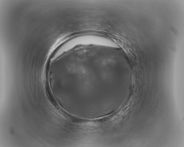 X0000116280198200912141355