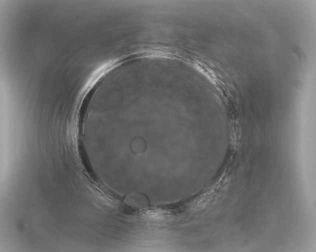 X0000116280199200912141355