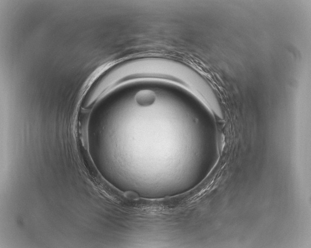 X0000116280200200912141355