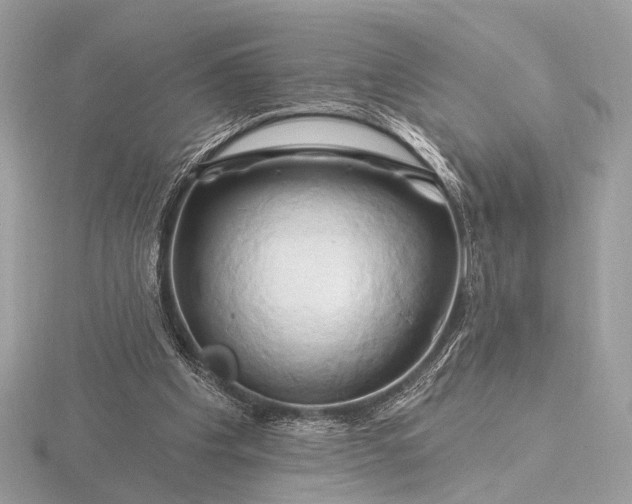 X0000116280201200912141355