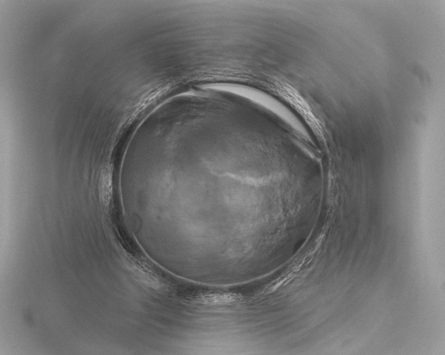 X0000116280202200912141355