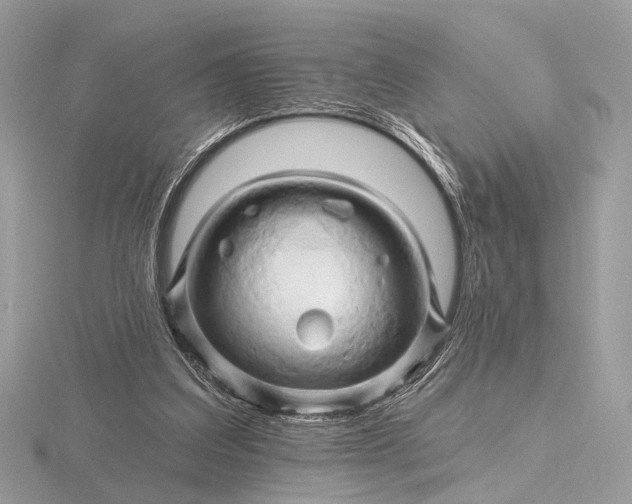 X0000116280203200912141355