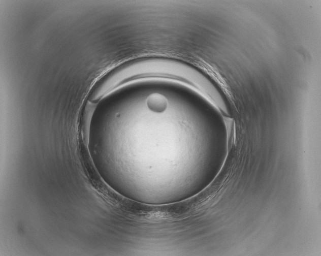 X0000116280204200912141355