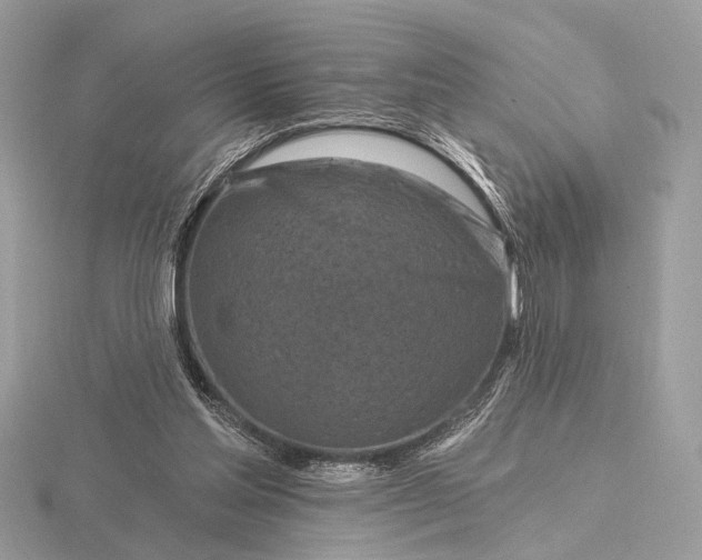 X0000116280205200912141355