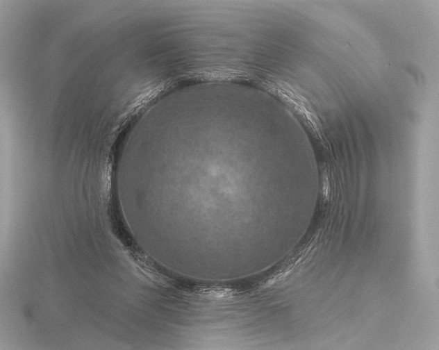 X0000116280206200912141355