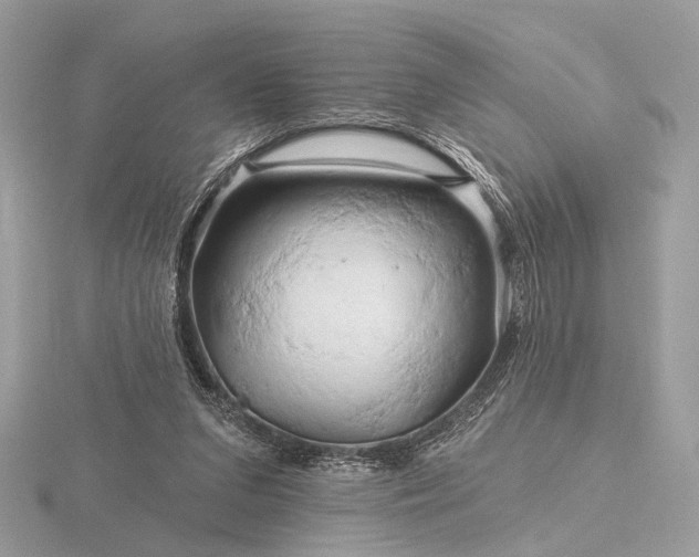 X0000116280207200912141355