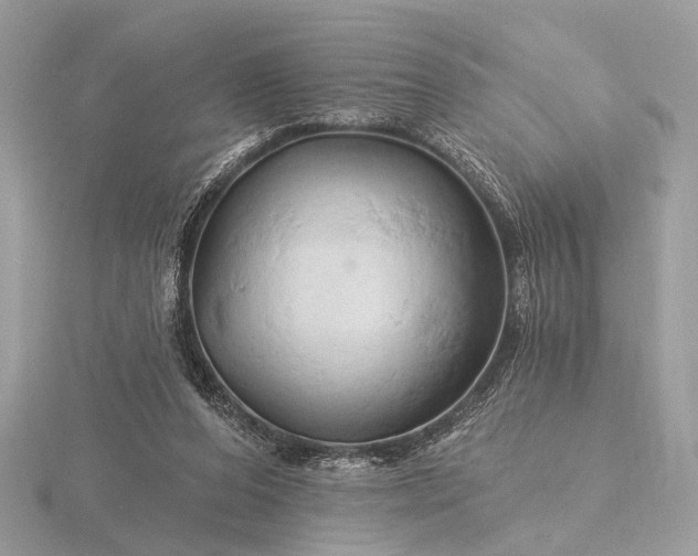 X0000116280208200912141355