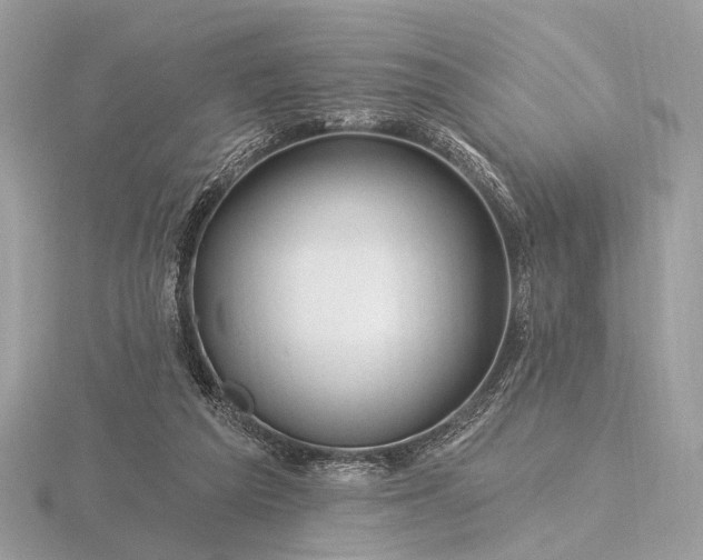 X0000116280209200912141355