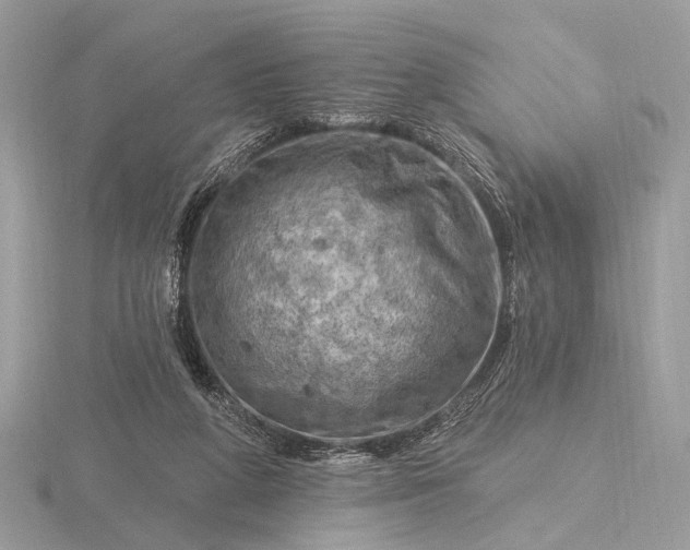 X0000116280210200912141355