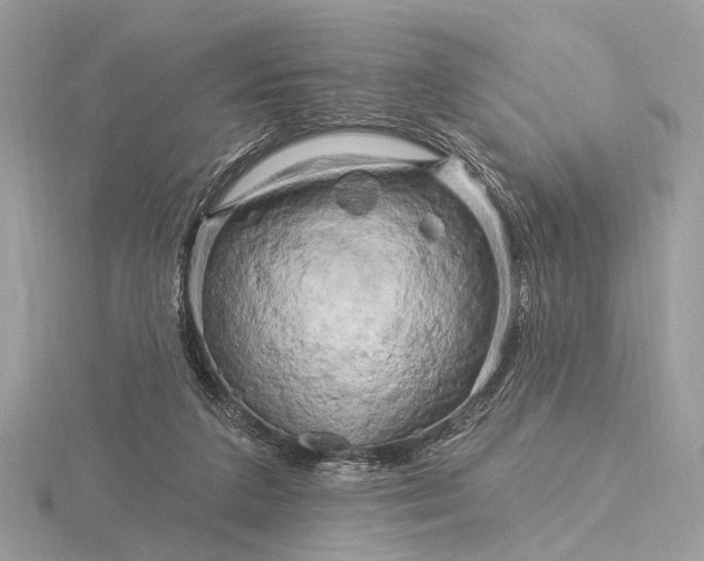 X0000116280211200912141355