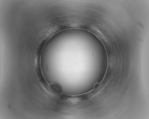 X0000116280213200912141355