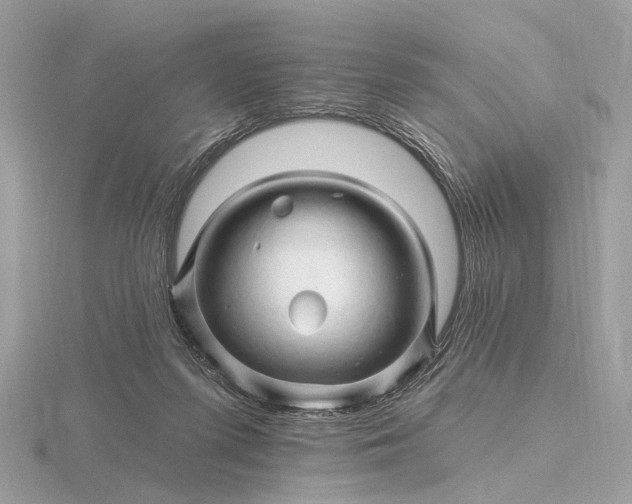 X0000116280215200912141355