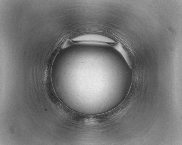 X0000116280216200912141355