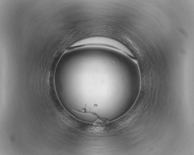 X0000116280217200912141355