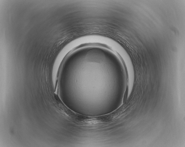 X0000116280219200912141355