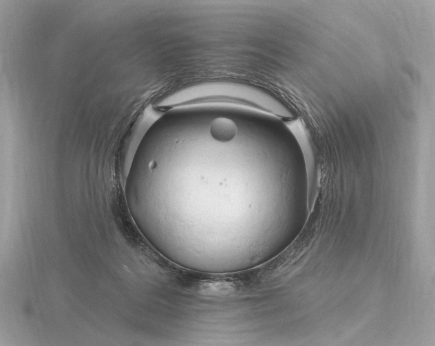 X0000116280220200912141355