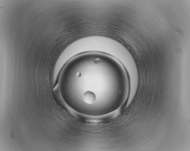 X0000116280221200912141355