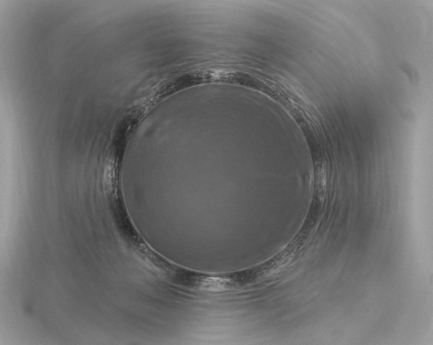 X0000116280222200912141355