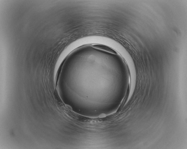 X0000116280223200912141355