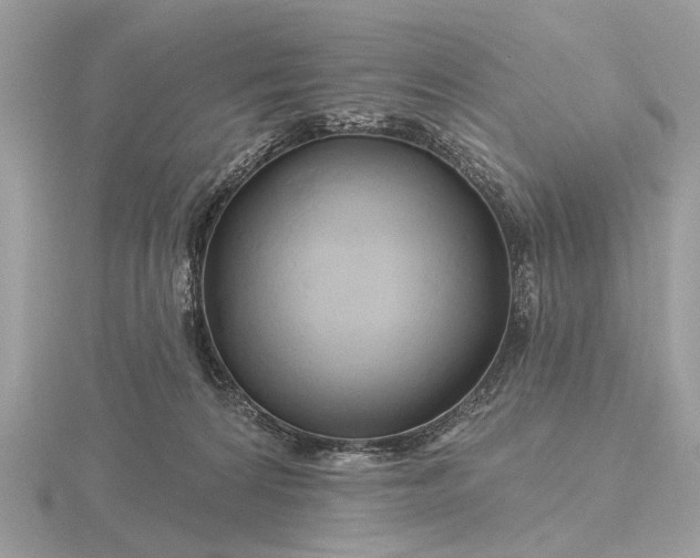 X0000116280224200912141355