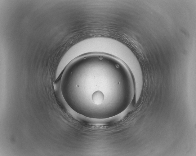 X0000116280225200912141355