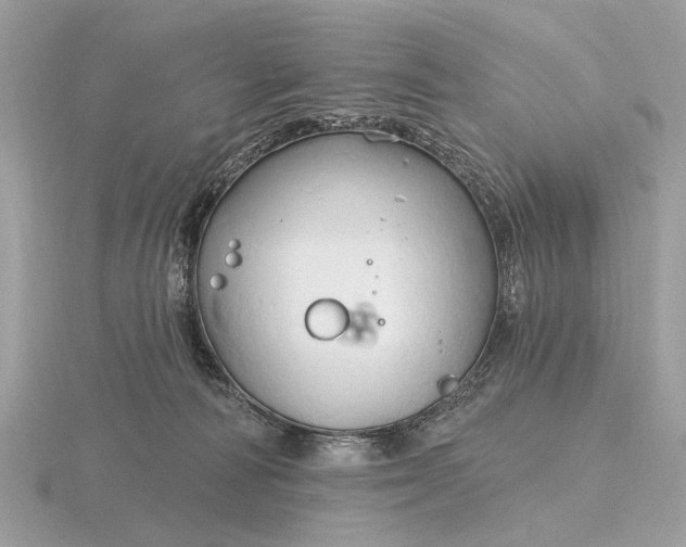 X0000116280226200912141355