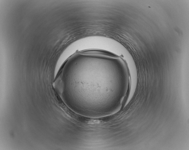 X0000116280227200912141355