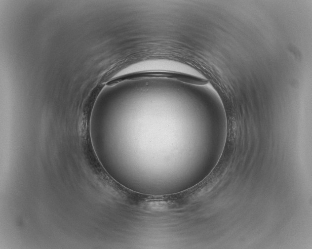 X0000116280228200912141355