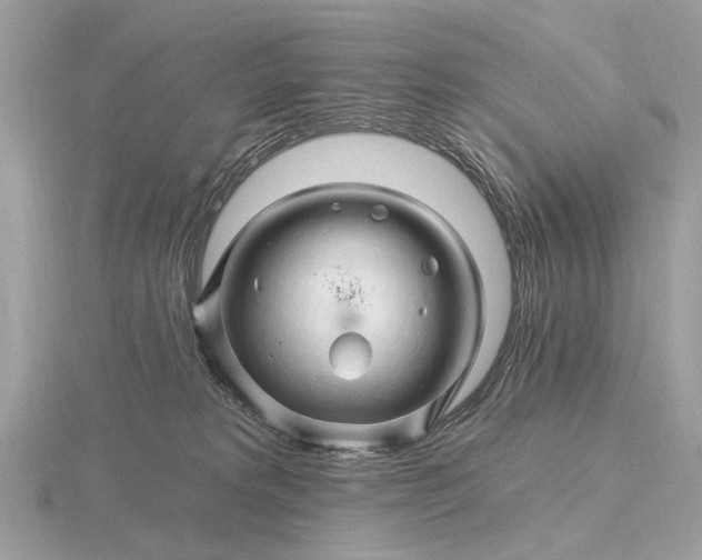 X0000116280229200912141355