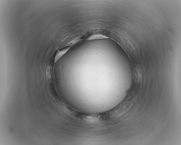 X0000116280232200912141355