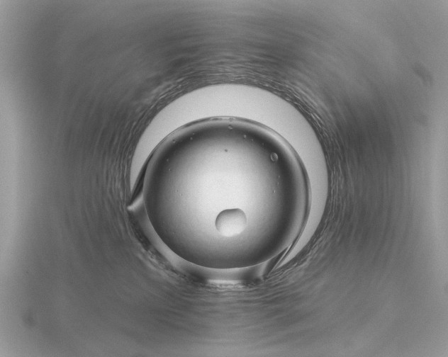 X0000116280233200912141355