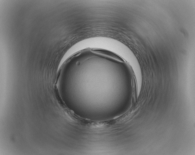 X0000116280235200912141355