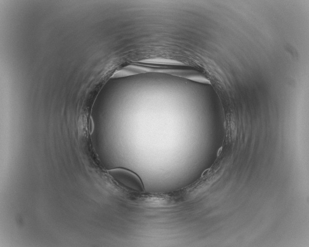 X0000116280236200912141355