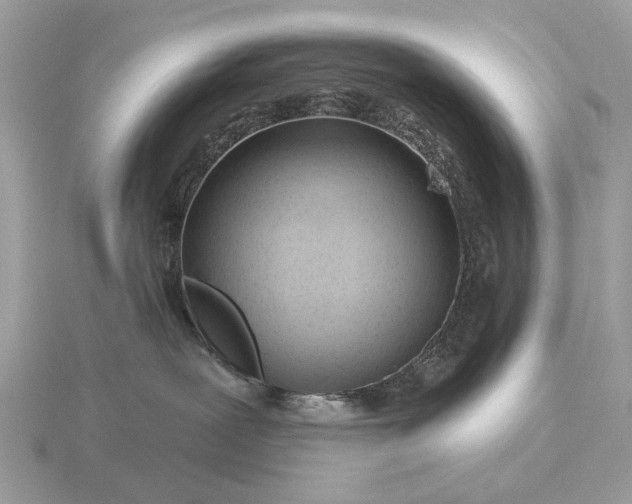 X0000116280239200912141355