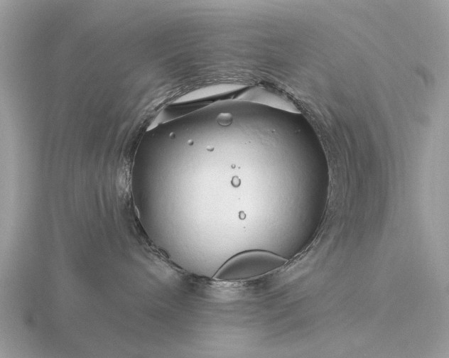 X0000116280240200912141355