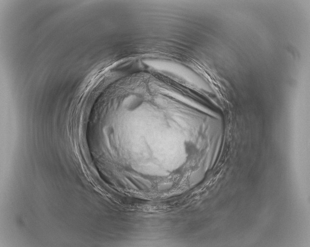 X0000116280241200912141354