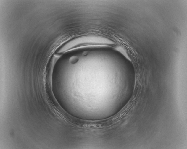 X0000116280242200912141354