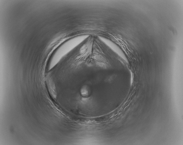 X0000116280243200912141354