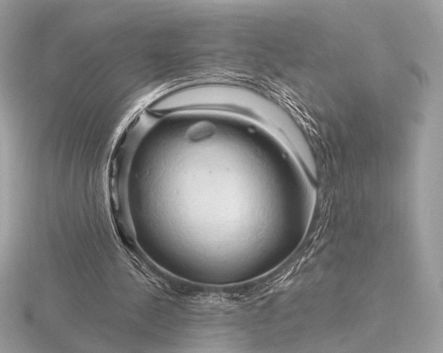 X0000116280244200912141354