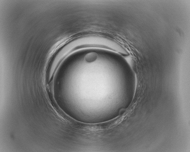 X0000116280245200912141354