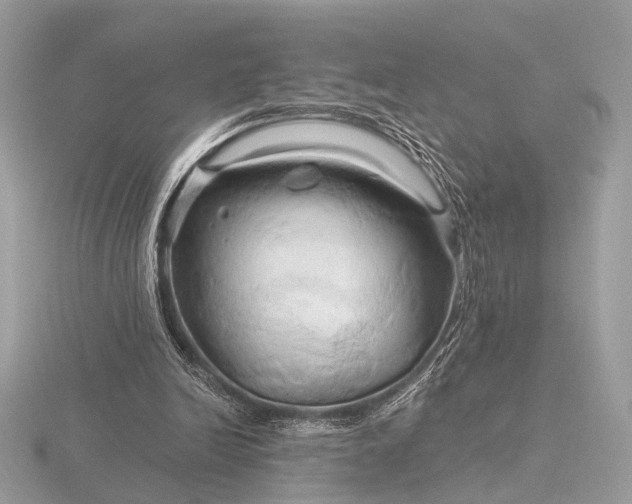 X0000116280246200912141354