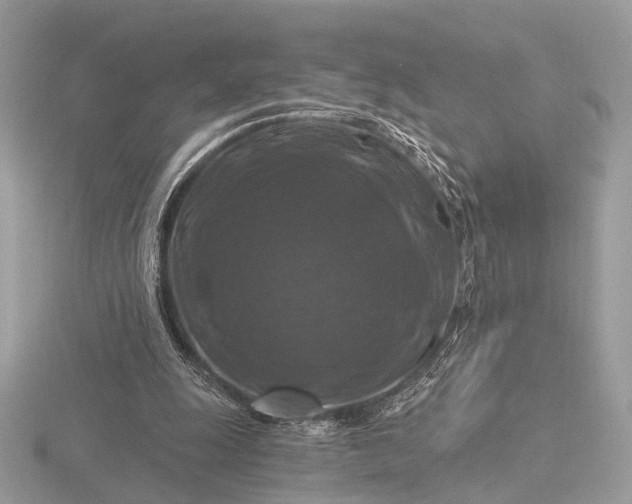 X0000116280247200912141354